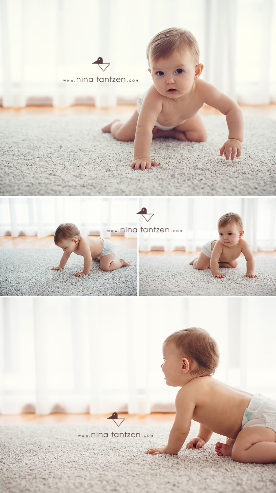 portraits of cute crawling baby