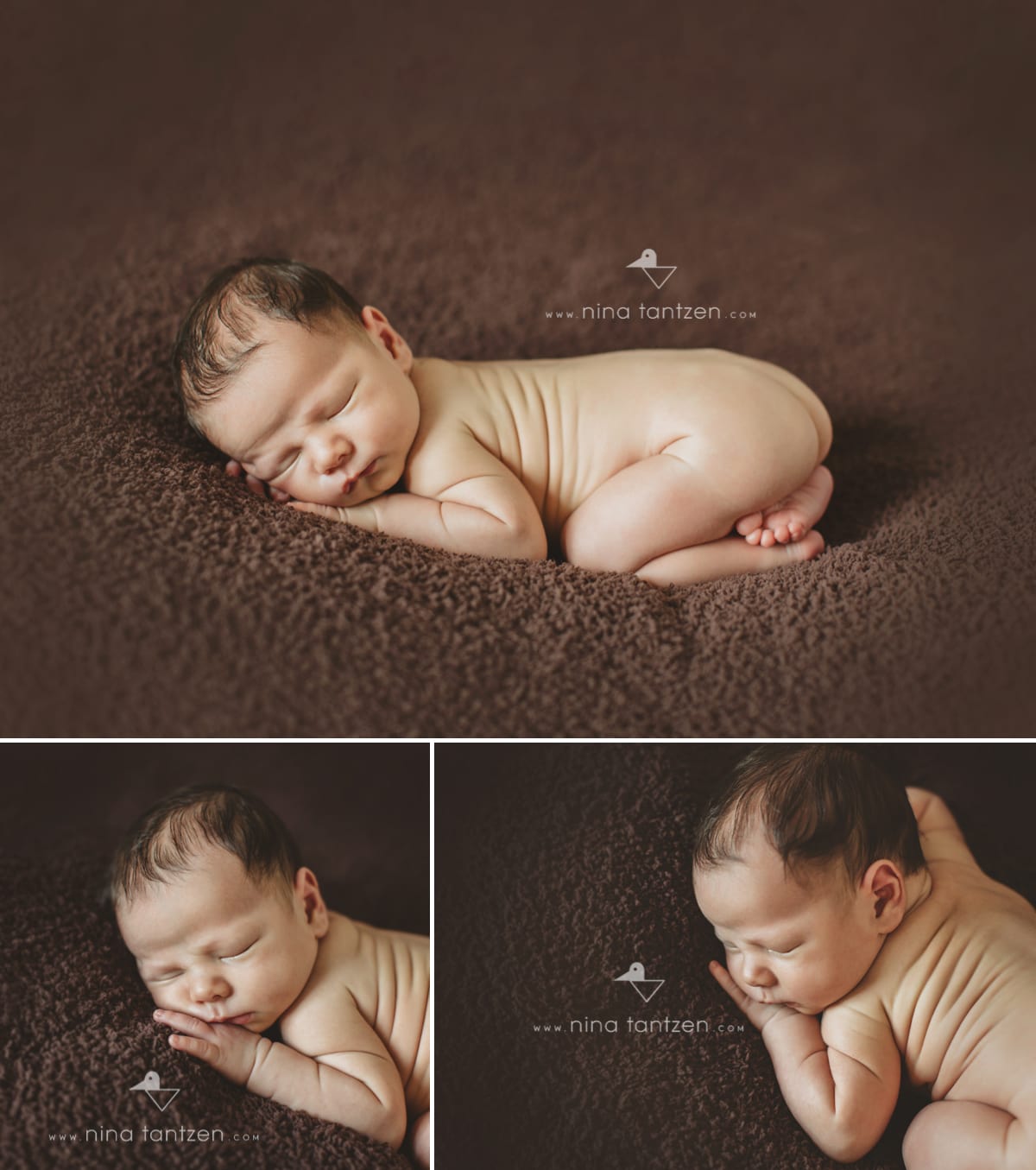 photographs of newborn baby boy in singapore