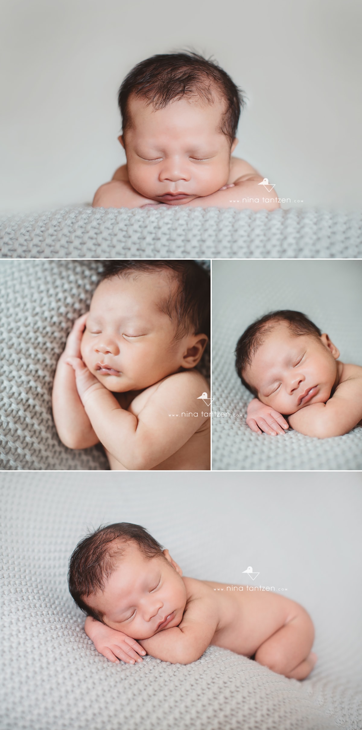 professional newborn portraits in singapore
