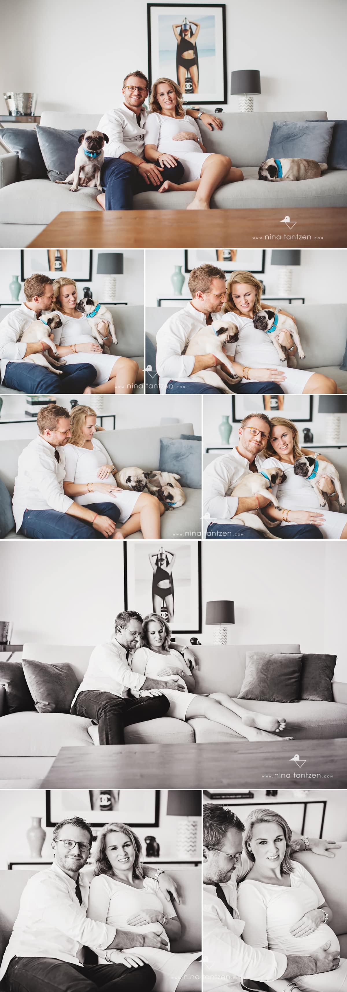 pregnancy photography with pets in singapore