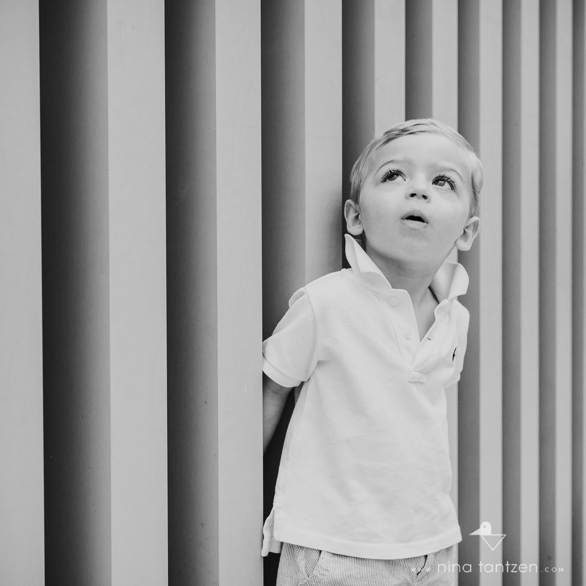 portrait of a little boy looking up