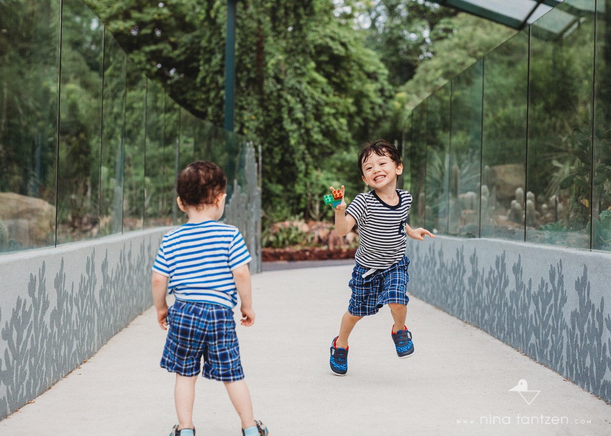 children running in Botanic Gardens Singapore